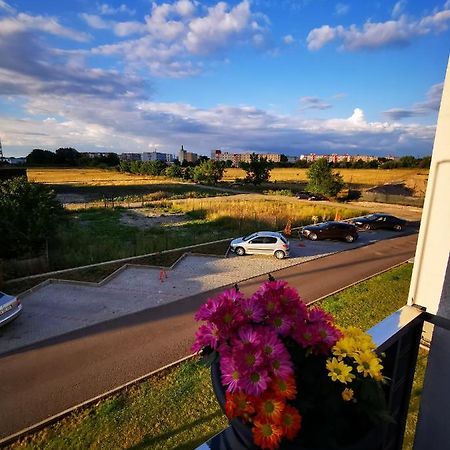 Teo Apartment Braşov Dış mekan fotoğraf