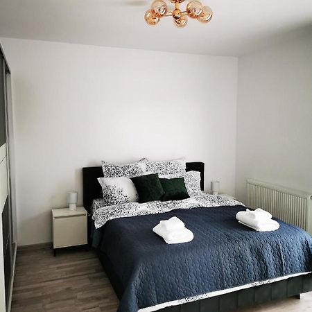 Teo Apartment Braşov Dış mekan fotoğraf
