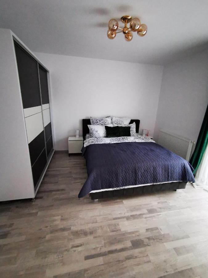 Teo Apartment Braşov Dış mekan fotoğraf