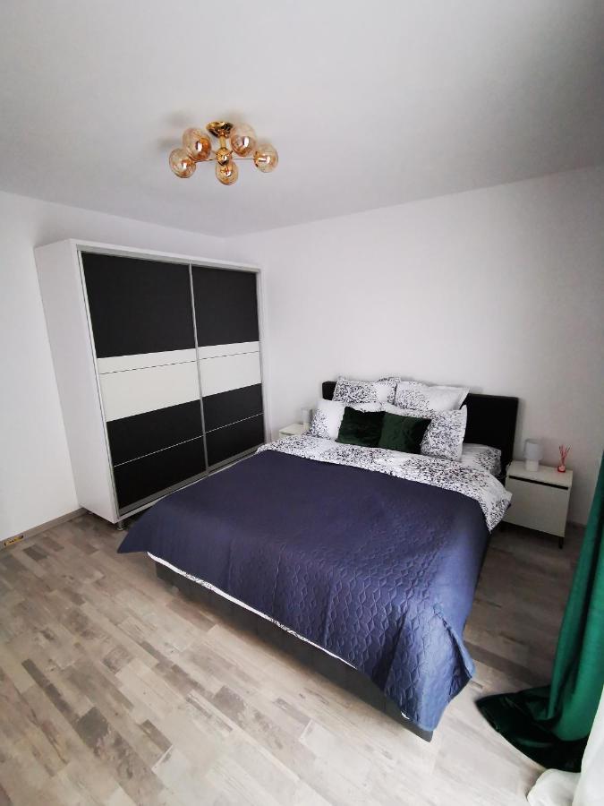 Teo Apartment Braşov Dış mekan fotoğraf